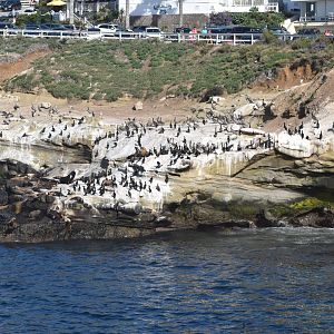 La Jolla Overlook