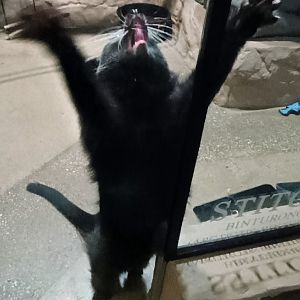 *opera singing* (6/21/25)