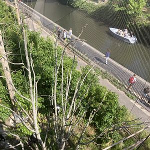 Canal View from Monkey Valley