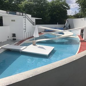 Historic Penguin Pool