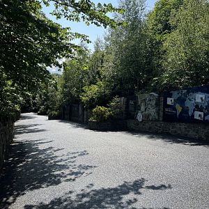 View of the former big cat terraces 22.6.25