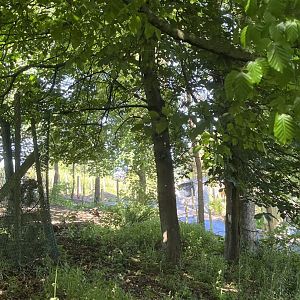 View of future sloth bear enclosure construction 22.6.25