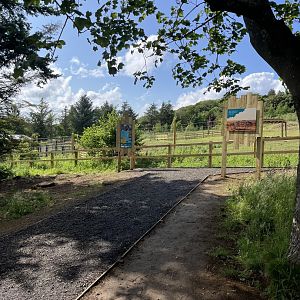 Path up to new zebra enclosure