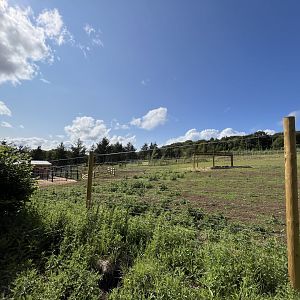 New Grevy’s Zebra enclosure 22.6.25