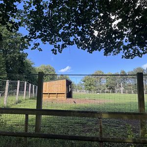 New shelter in Przewalski’s horse enclosure 22.6.25
