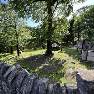Capybara enclosure 0.5 22.6.25