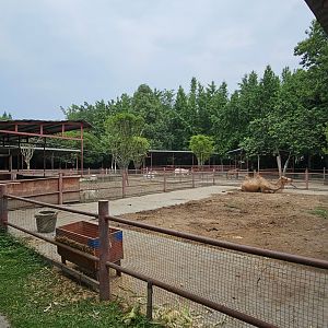 Domestic animal paddocks, Zanhuayuan Zoo / Guoxue Boutique Zoo, Shifang