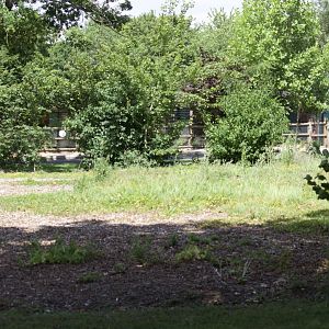 Former Marabou Mansions