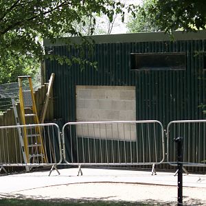 Work at the Serval enclosure