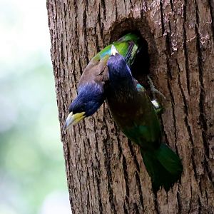 "It's your shift now!"