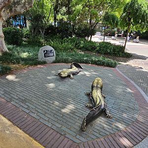 Chinese Giant Salamander statues, 05/2025