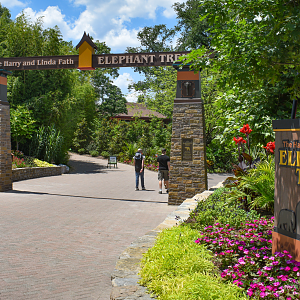 Jun. 2025 - Elephant Trek - Newly Completed Entrance Sign & Arch