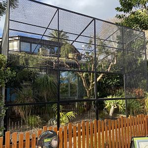 Outdoor Komodo Dragon Enclosure