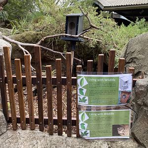 New Wild Possum Nestbox