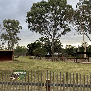 Kangaroo, Wallaby and Emu Enclosure