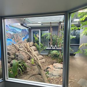 Indoor Komodo Dragon Enclosure