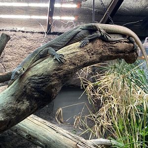 Mertens Water Monitor