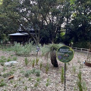 New Invertebrate Garden