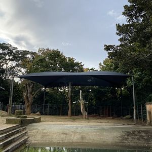 Former Elephant Paddock