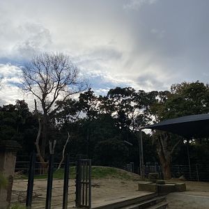 Former Elephant Paddock