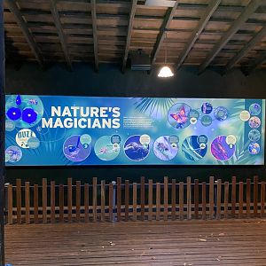 New invertebrate display