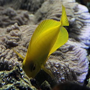 ID Please taken in 2011