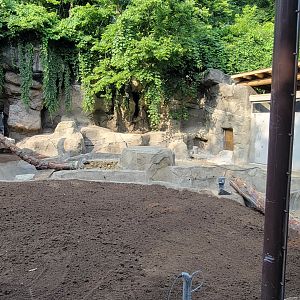 Jun. 2025 - Black Bear Ridge Construction Update