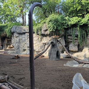 Jun. 2025 - Black Bear Ridge Construction Update
