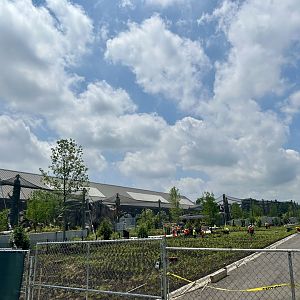 Tropical Forests- construction