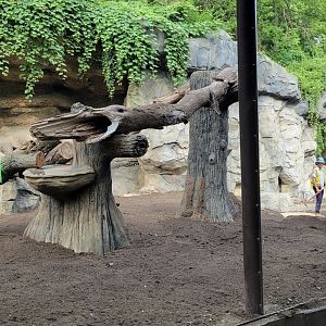 Jun. 2025 - Black Bear Ridge Construction Update