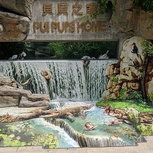 Saltwater Crocodile (Pui Pui) enclosure