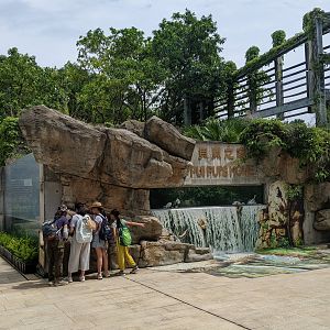 Saltwater Crocodile (Pui Pui) enclosure