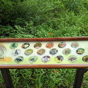Butterfly Garden signage