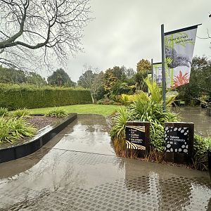 Hamilton Zoo - Entry Precinct (Lawn)