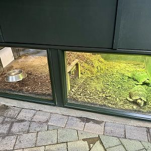 Leopard Tortoise Nest Box