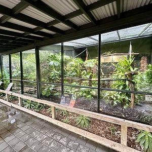 Parrot Court (Tamarin and Himalayan Monal Exhibits)