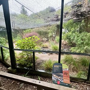 Parrot Court (Australian Aviary)