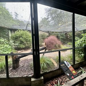 Parrot Court (Australian Aviary)