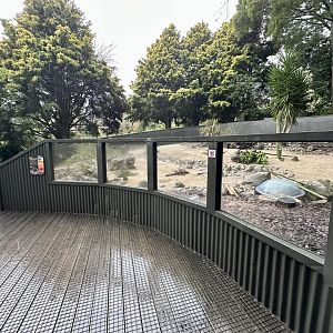Cape Porcupine Exhibit - Viewing Window