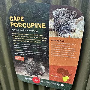 Cape Porcupine Signage