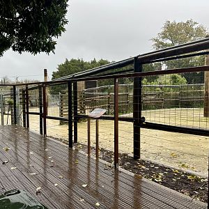 Giraffe Yard - Viewing Deck
