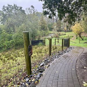 Giraffe/Alpaca Pathway