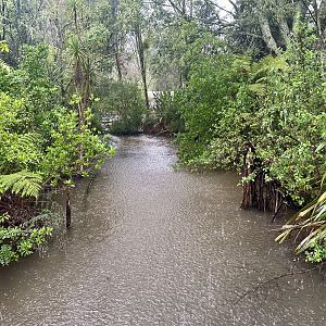 New Zealand Wetlands Exhibit