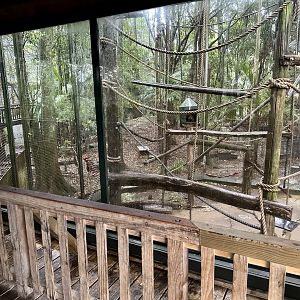 Capuchin Exhibit 1 (Viewing Window Barrier)