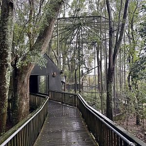 Ruffed Lemur Exhibit