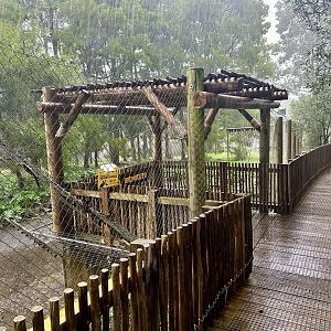 Spider Monkey Exhibit - New Viewing Shelter