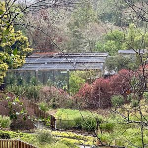 Fishing Cat Complex (Aerial View)