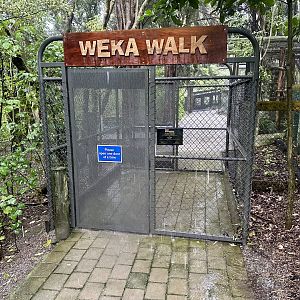 New Zealand Native Bird Precinct (Entrance)