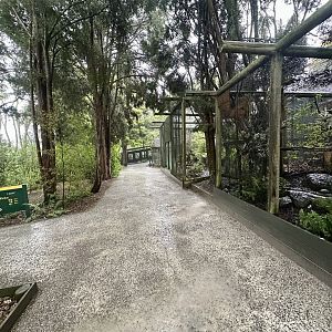 New Zealand Native Bird Precinct