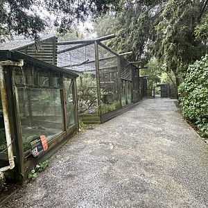 New Zealand Native Bird Precinct